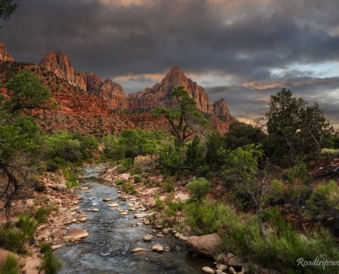 The Watchman Zion National Park