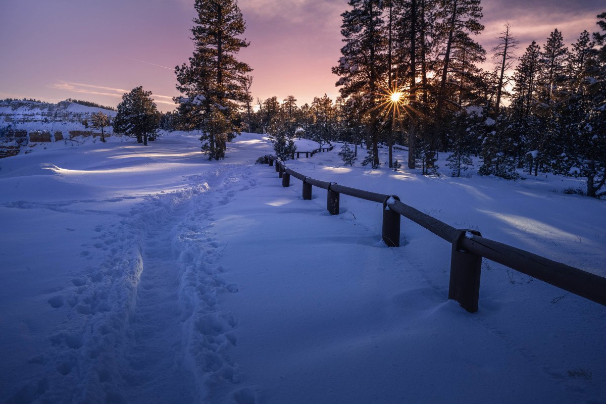 Bryce Canyon Rim Trail Between Sunrise and Sunset Points